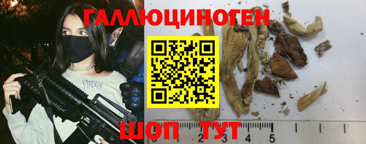 Галлюциногенные грибы MAGIC MUSHROOMS Алейск