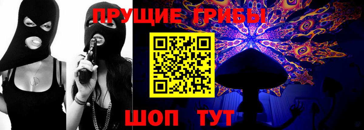 Псилоцибиновые грибы Cubensis  Вход с VPN  Алейск 