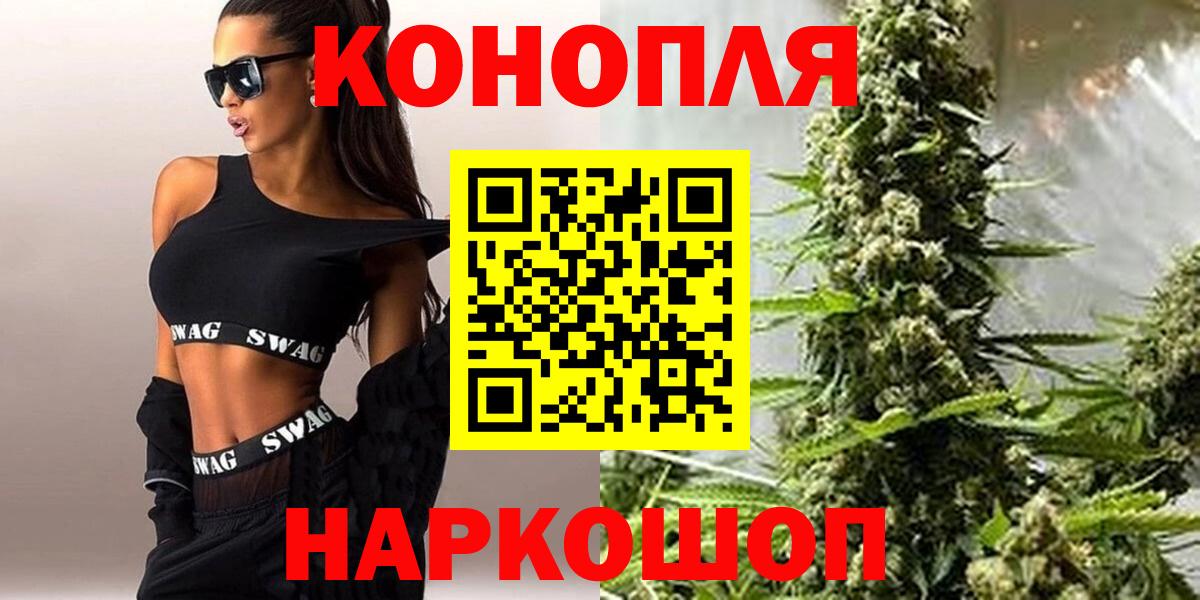 Канабис планчик Алейск